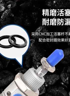 你气缸DSNU40*10*145*150*155*51640*165*170*1迷75*SFG180*18*19