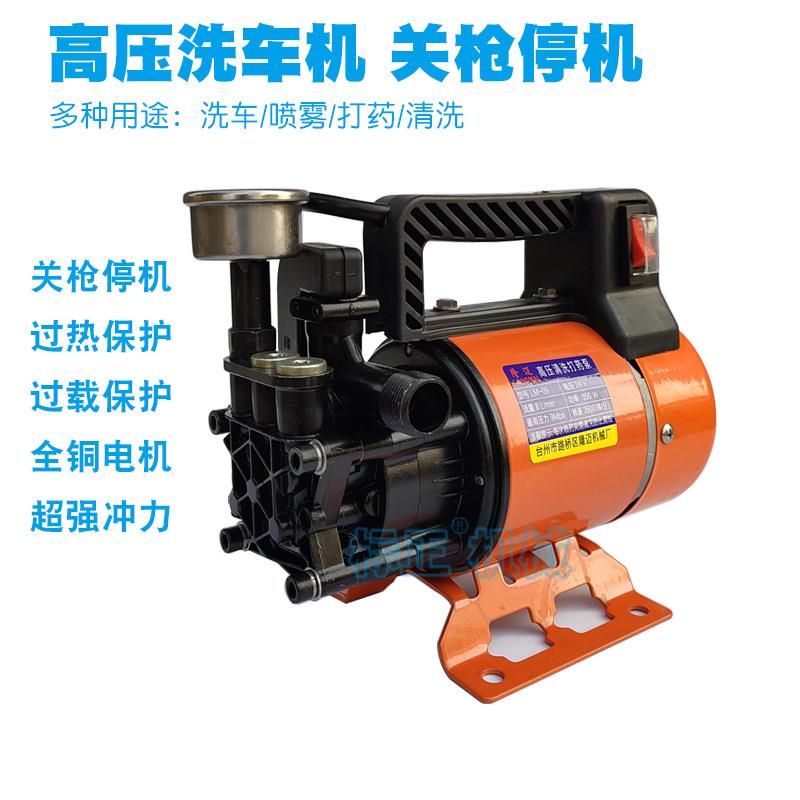 洗车机家用高压可携式清洗机12V24V60V72V电动洗车机养殖场喷洗机