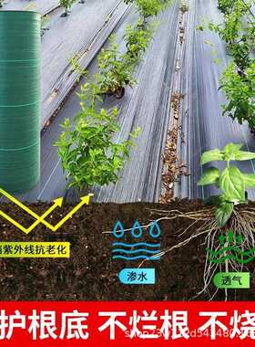 防草布除草布黑绿色pp90g批发遮草透水透气绿化庭院园林市政防草