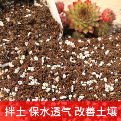珍珠岩颗粒养花用营养土拌土园艺多肉兰花发根蛭石扦插用乌龟孵化