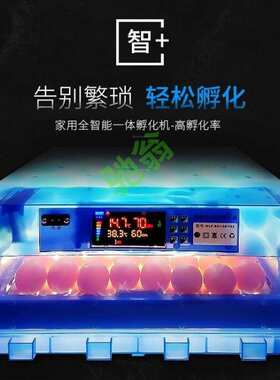 yut多功能全自动孵化机鸡鸡鸭鹅鸽子孔雀孵化器70枚孵蛋器鸡蛋孵