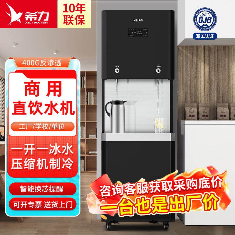 商用净水器直饮机冰水制冷加热净水机RO反渗透过滤直饮冰热