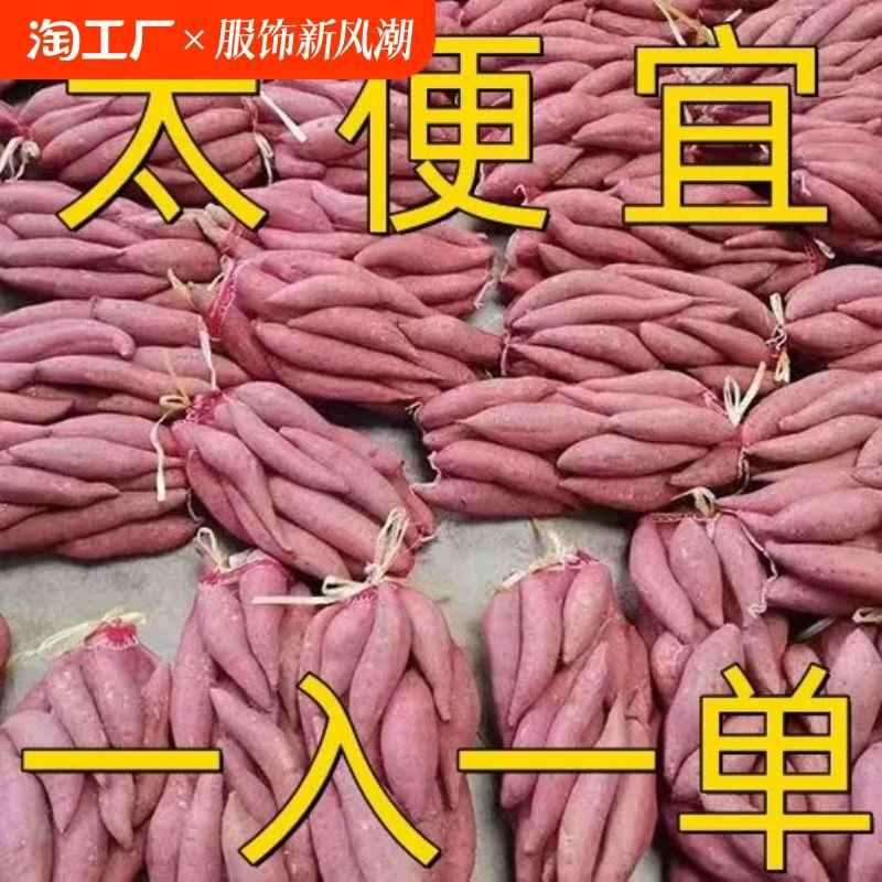 【超低价】超甜沙地蜜薯新鲜红薯黄心板栗蜜薯红心地瓜软糯香甜