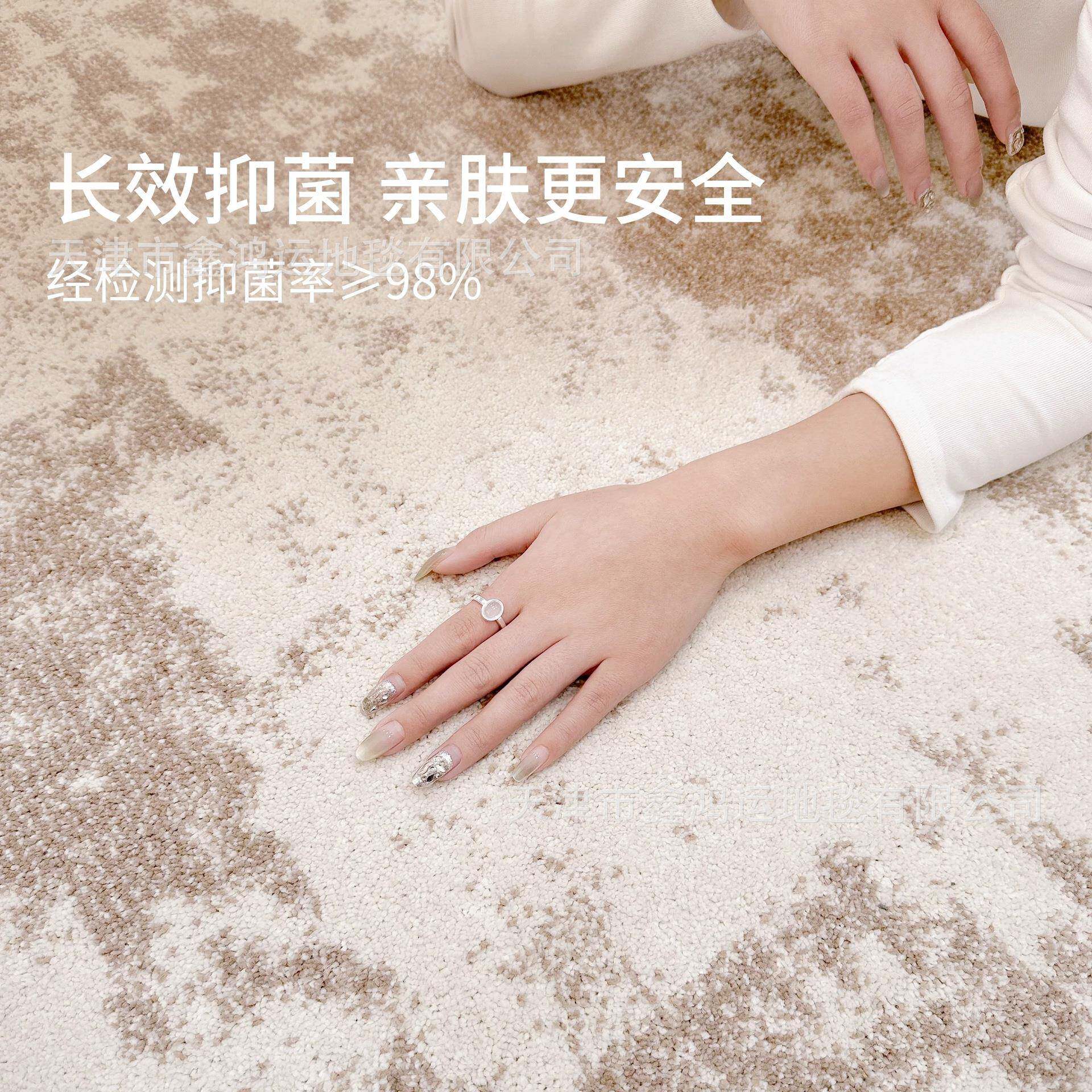 无胶地毯防水素色高级感抑菌现代简约意式轻奢客厅沙发茶几卧室毯