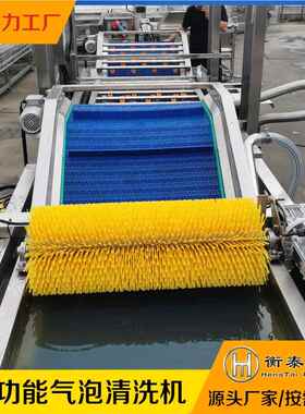 水果加工秋梨清洗机大率果皮NOG零功损伤果蔬清洗秋机梨加工生产