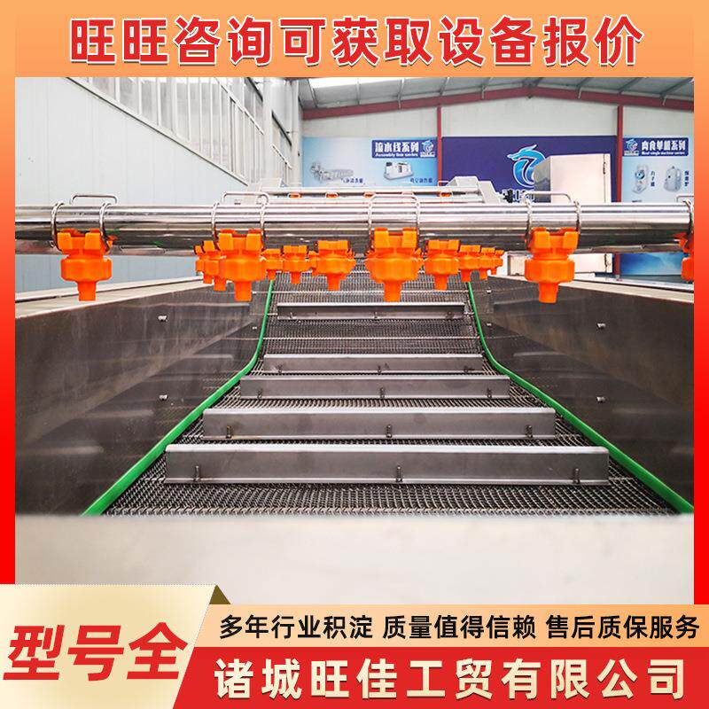 佛手瓜瓜果气泡清洗机土豆片清洗流水线香椿芽加工喷淋式洗菜机