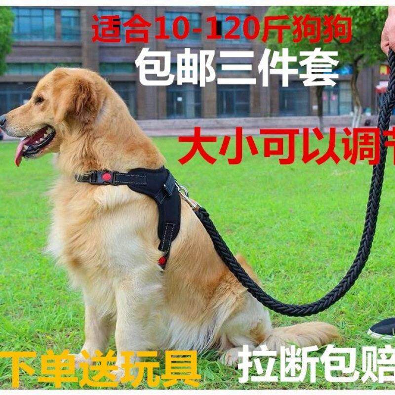 金毛狗子胸背带狗狗牵引绳大型犬牵狗绳子中型犬拉布拉多栓狗绳