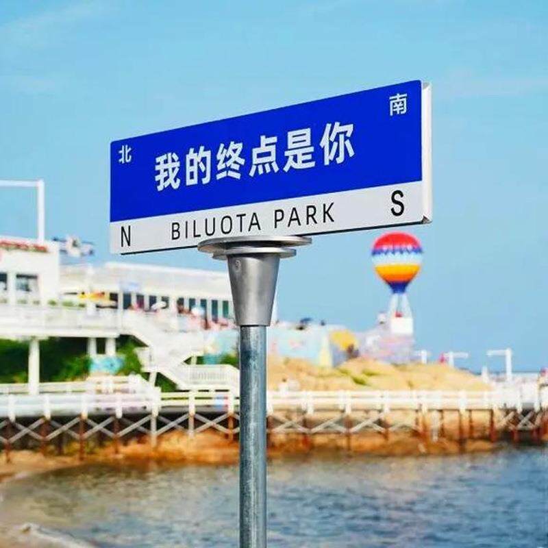 厂家供应网红T型道路指示牌路标交通标志牌立杆式反光网红路名牌
