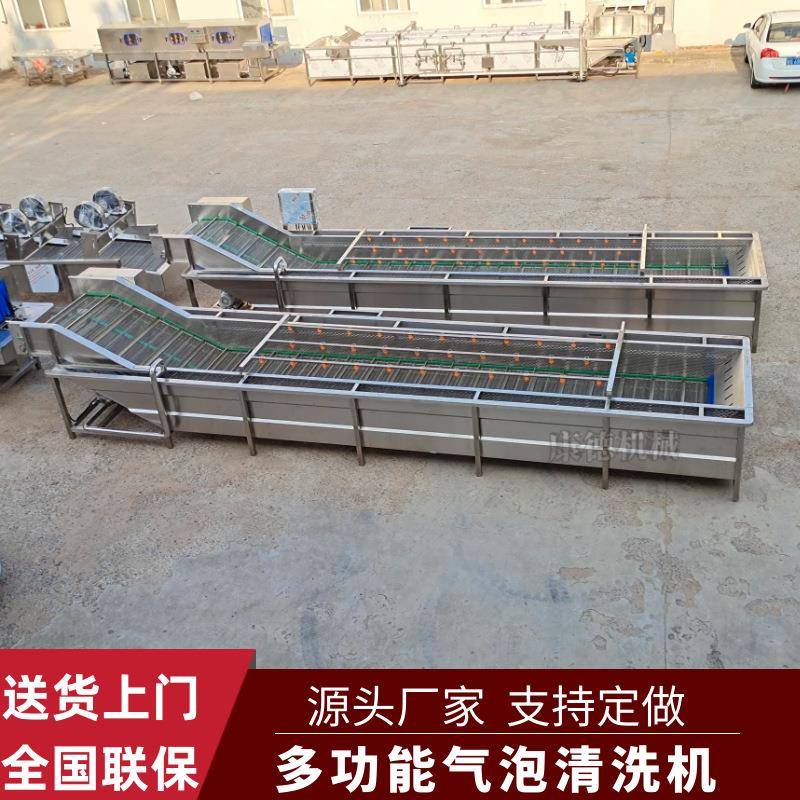 西红柿罐头加工气泡清洗机中药材蒲公英清洗机西梅去泥沙清洗机