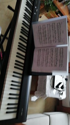 老师们Roland罗兰电钢琴fp30 FP-30怎么样，是否值得买呢？