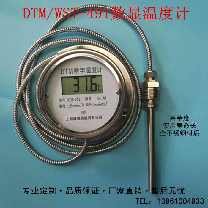 上海耀诚数显温度计带探头WST/DTM-491高精度电子工业防水温度计