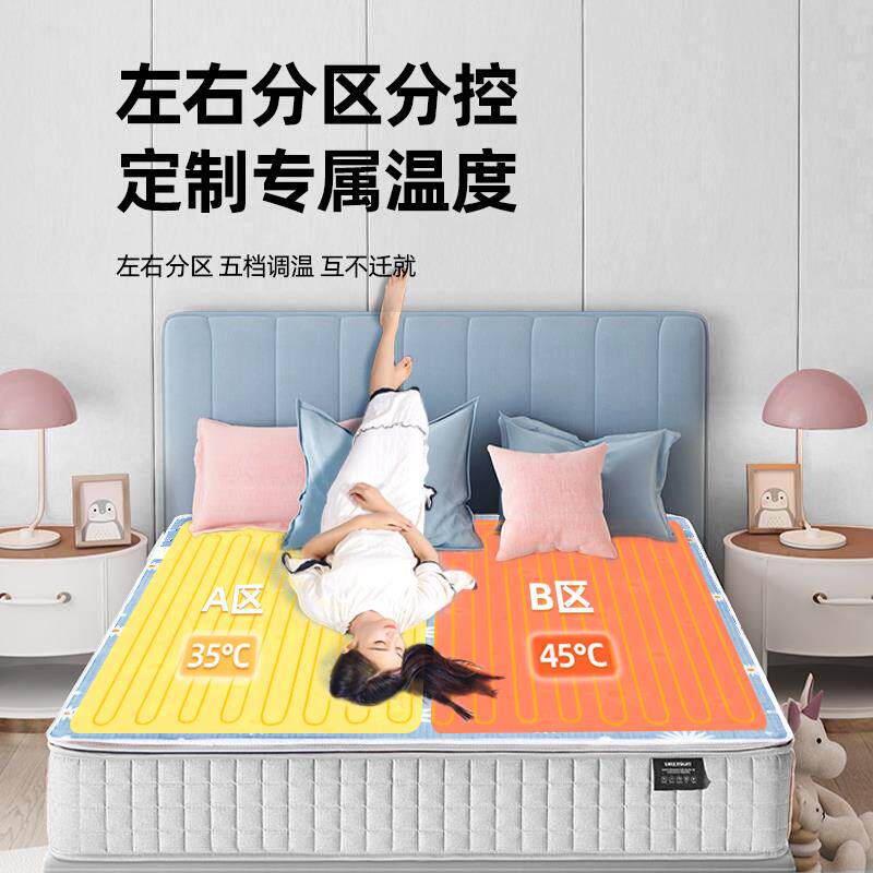 电热毯单人双人双控智能调温安全不漏电厚电褥子可调温电加热电暖