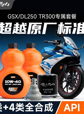 GSX250/DL250/TR300嘴上马力摩托车机油保养套装套餐