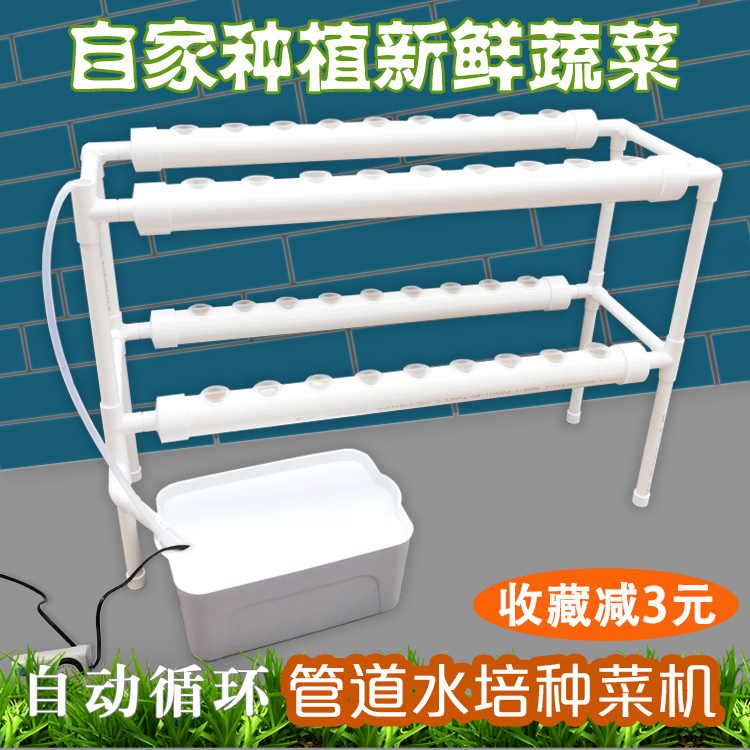 草莓式种菜水培阳台室内设备无土栽培水耕机管道蔬菜新款种植自动