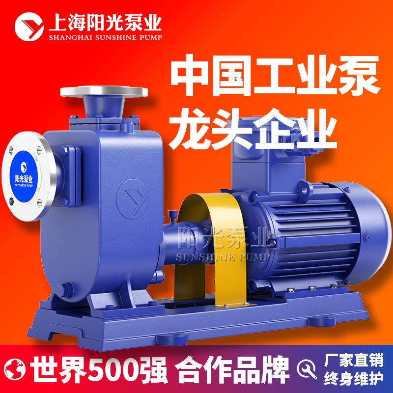 CYZ-A型自吸式卧式自吸泵自吸油泵自吸泵报价自吸泵厂家定金