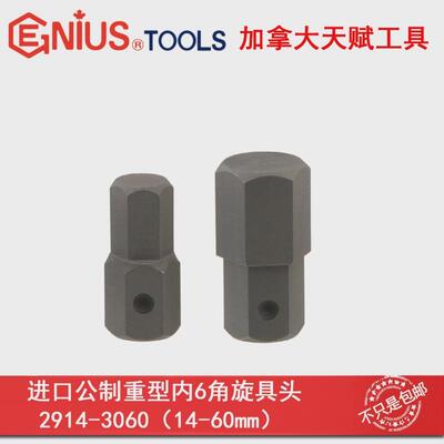 天赋进口工具GENIUS公制重型内6角旋具头2919 2922 2924 2927