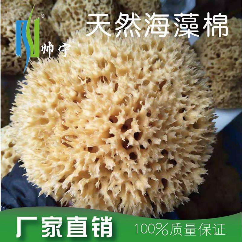 帅宁天然海藻绵老海藻粘花浮雕三色幻彩希腊蜂窝海藻艺术涂料工具