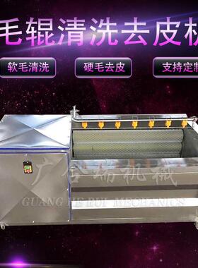 1500型毛辊清洗去皮机茯苓葛根马钱子中药材去皮去泥清洗设备