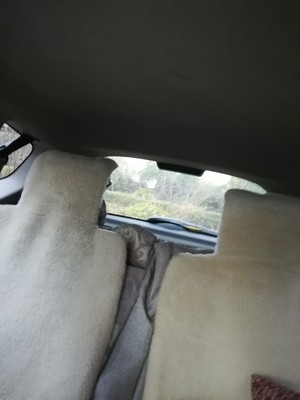 威固隐形车衣怎么样?怕选错受罪