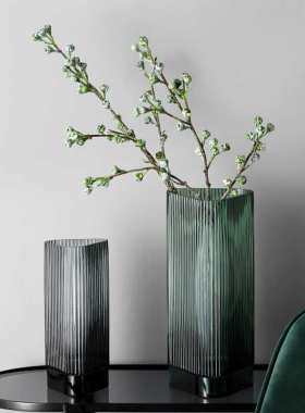 北欧轻奢创意竖纹玻璃花瓶摆件客厅插花水培花器餐桌家居装饰品