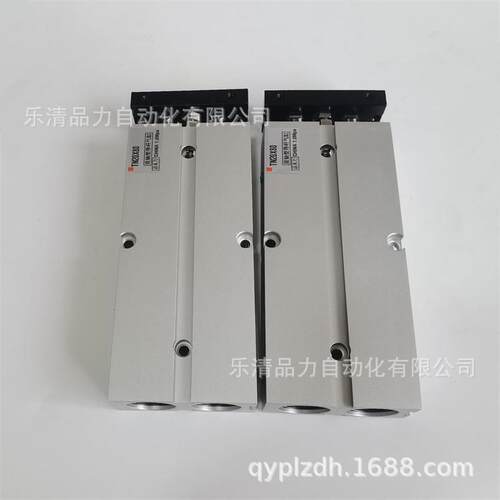 双轴气缸TN10XTN16X10X15X20X25X30X35x40-45S*50X60X70/75-S-H-G