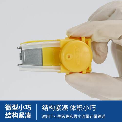 杰恒WX1民蠕用微型动泵家自吸厂循环液体计量泵微量滴742定动蠕泵