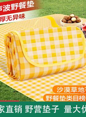 野餐垫防潮垫加厚户外野炊野营沙滩帐篷地垫防水草坪垫子便携郊游