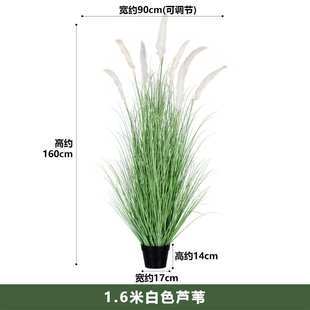仿真狗尾草室内网假绿物植花芦苇仿生假植装饰盆栽红天然摆件造景