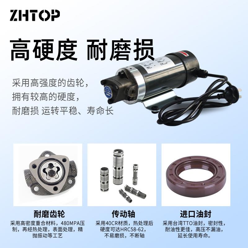 厂家直供微小型抽油泵直流专用润滑电机油泵齿轮泵机220V摆线泵