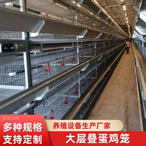 全自动大层叠蛋鸡笼可定制H型冷镀锌自动捡蛋鸡清粪养殖设备鸡笼