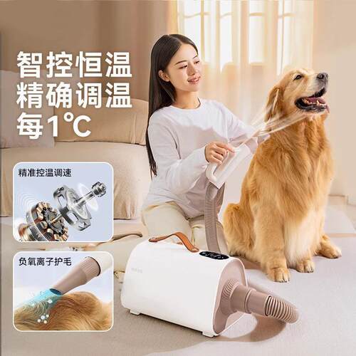 宠物吹水机智能家用吹风机猫咪狗狗烘干机中大型犬专洗澡吹毛用品