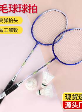 兴冠钛合金羽毛球球拍尼龙网线初级入门羽毛球爱好者双人羽毛球拍