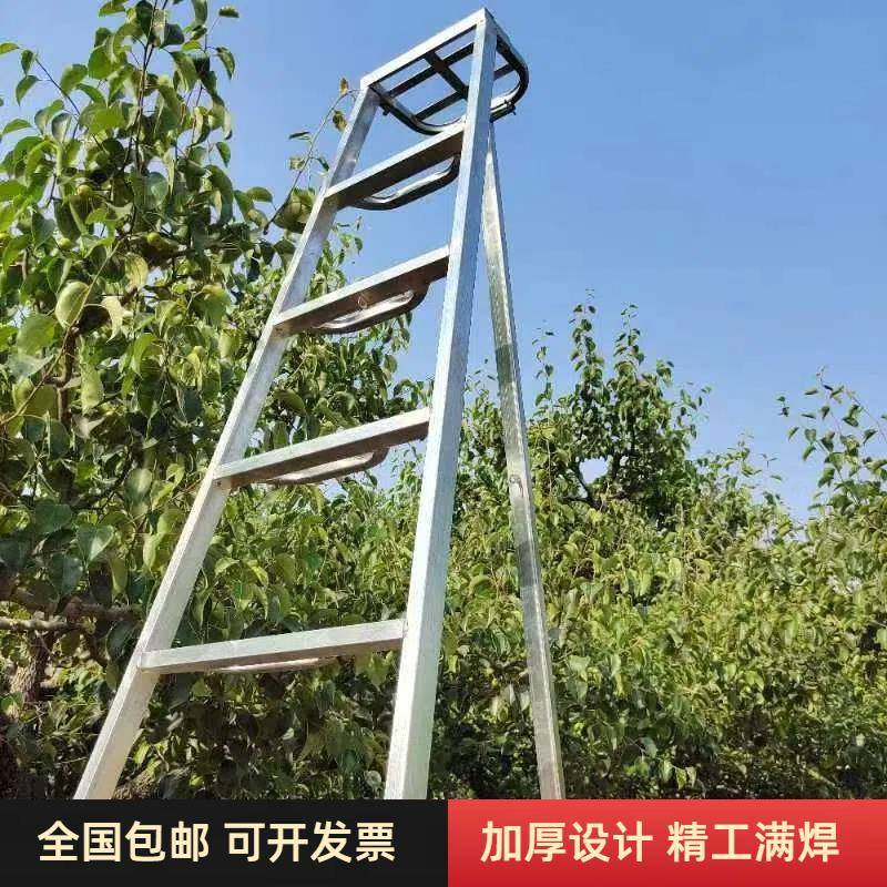 果园专用三角梯果园梯子修剪枝镀锌折叠梯加宽镀锌方管加宽梯子