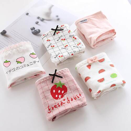 Sexy Women Panties Lace Briefs Underwear sexy Lingerie 内裤