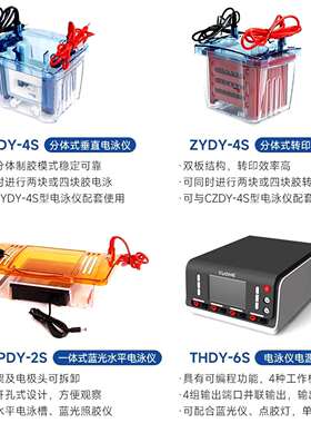 拓赫分体式垂直电泳仪CZDY-4S转印电泳ZYDY-4S电泳仪电源THDY-6S
