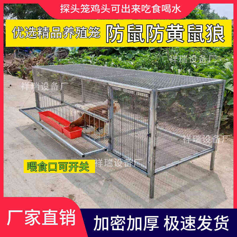 鸡笼子家用室外防黄鼠狼养殖专用加密加厚大号特大户外养鸭鹅兔