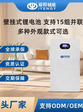 48V200AH家庭储能壁挂式锂电池磷酸铁锂家用储能锂电池10KWH
