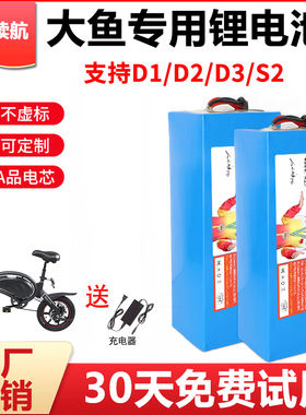 大鱼电动车锂电池36v智行车d1专用d2电池d3大容量s2电芯V1配件dyu