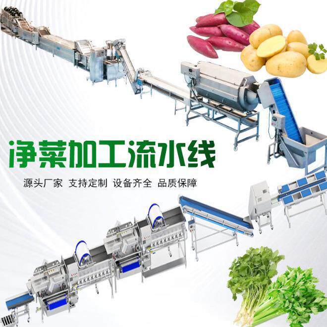 全自动人参清洗机丹参根野山参毛辊清洗去泥设备果蔬全自动清洗线