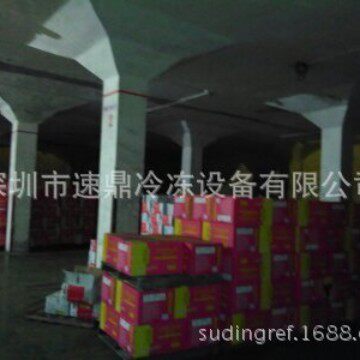深圳冷库冷藏集装箱出租 深圳冷库厂家 冷库维修安装