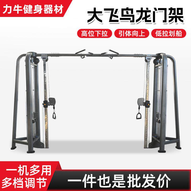 健身房商用大飞鸟多功能训练器引体向上双臂机十字夹胸健身器材