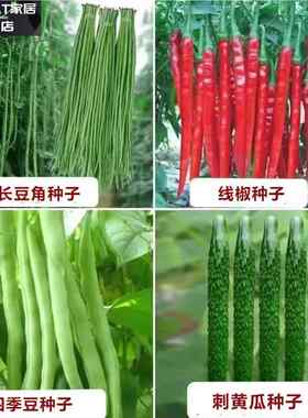 16种开春季春蔬菜子套餐A丝瓜黄瓜辣椒HICRET豆角蔬玉种米茄子农