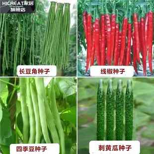 26种开春季 春蔬菜子植物套餐丝瓜黄瓜辣椒豆角蔬玉种米茄子农去虫