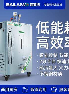 蒸汽发生器酿酒做豆腐蒸气机0.5吨锅炉电热工业商用桑拿熨斗干洗