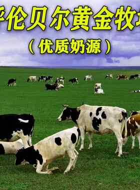 内蒙古呼伦贝尔牙克石酪娃奶粉全脂无蔗糖中老青少成人奶粉