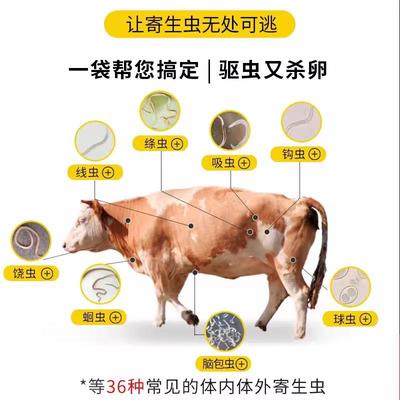 驱虫多种体专用畜内外驱虫药牛羊可用孕兽用牛羊驱寄生虫净全虫清
