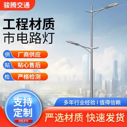 双臂路灯来图定 做 高低臂双头上下臂路灯 户外led路灯厂家