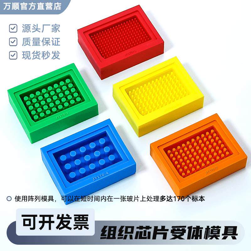组织芯片TMA受体模具模块样本分析打孔器不锈钢打孔器皮肤穿孔 - 实物图