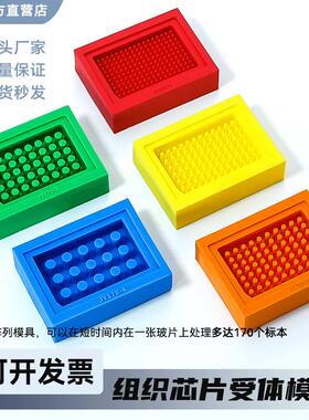 组织芯片TMA受体模具模块样本分析打孔器不锈钢打孔器皮肤穿孔