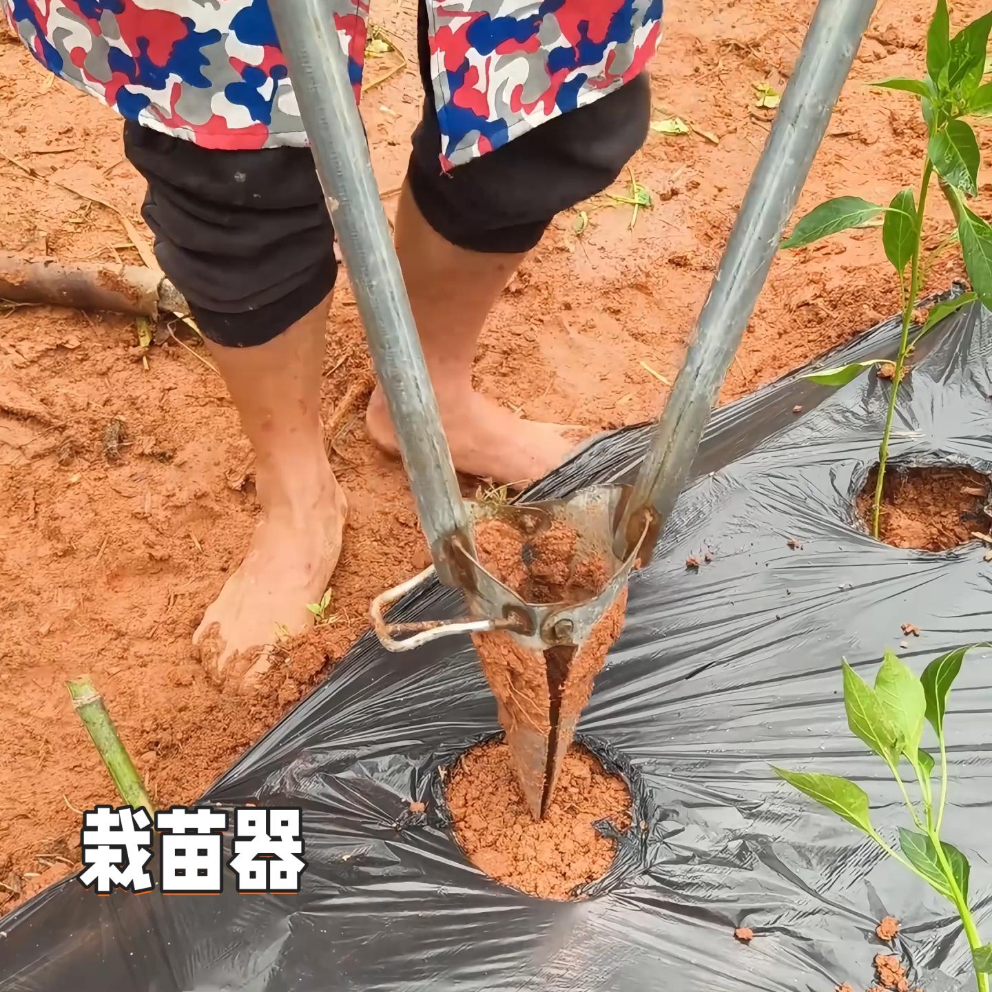 栽苗器移苗器农用手动移栽器蔬菜种辣椒苗移植器取土器种菜工具